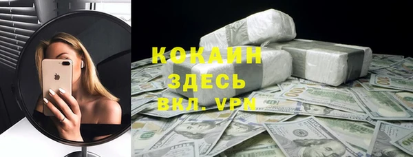 прущие грибы Абаза