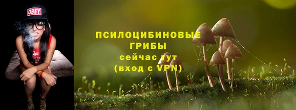 таблы Алзамай