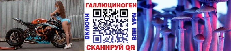 где найти наркотики  Сергач  Псилоцибиновые грибы Psilocybe 